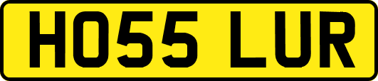HO55LUR