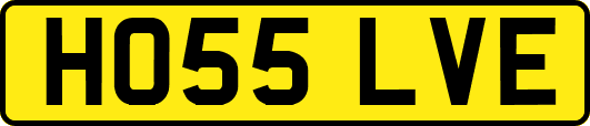 HO55LVE