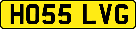 HO55LVG