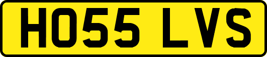 HO55LVS