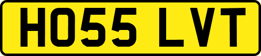 HO55LVT