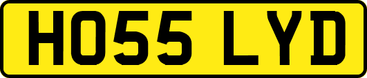 HO55LYD