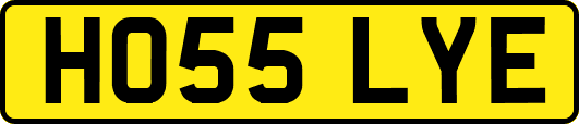 HO55LYE