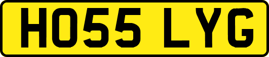 HO55LYG