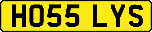 HO55LYS
