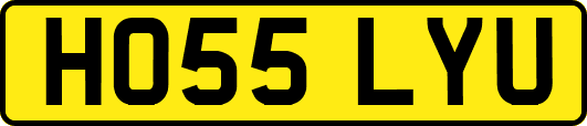 HO55LYU