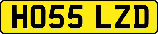 HO55LZD