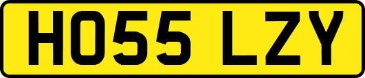 HO55LZY