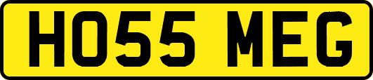 HO55MEG