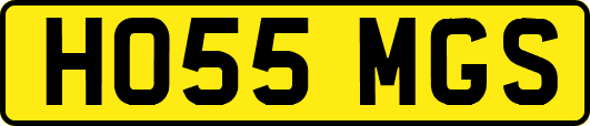 HO55MGS