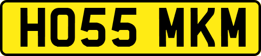 HO55MKM