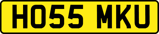 HO55MKU
