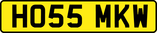 HO55MKW