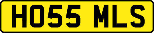 HO55MLS