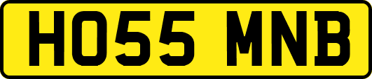 HO55MNB
