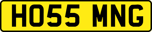 HO55MNG
