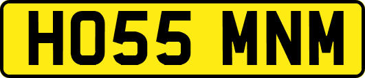 HO55MNM