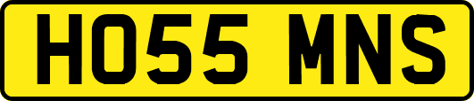 HO55MNS