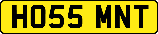 HO55MNT
