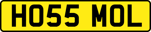 HO55MOL