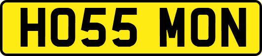 HO55MON
