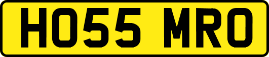 HO55MRO