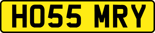 HO55MRY