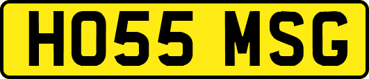 HO55MSG