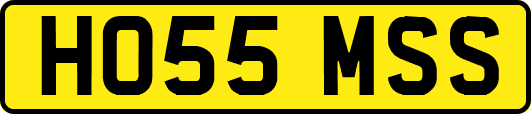 HO55MSS