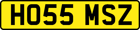 HO55MSZ