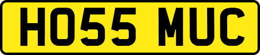HO55MUC