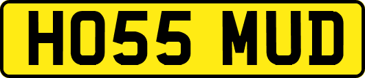 HO55MUD