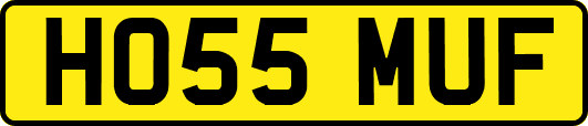 HO55MUF