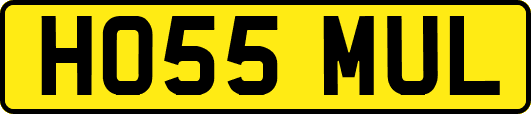 HO55MUL