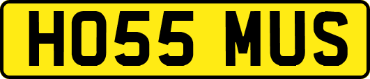 HO55MUS