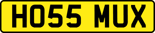 HO55MUX