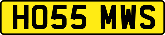 HO55MWS