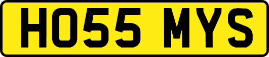 HO55MYS