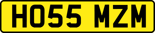 HO55MZM