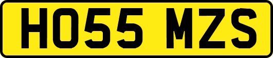 HO55MZS