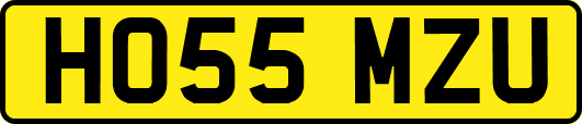 HO55MZU