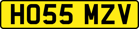 HO55MZV