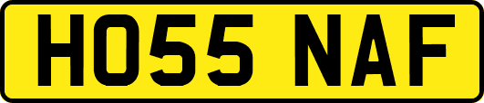 HO55NAF