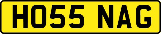 HO55NAG