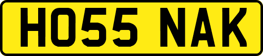 HO55NAK