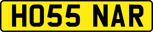 HO55NAR