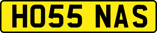 HO55NAS
