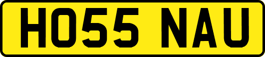 HO55NAU