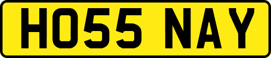 HO55NAY