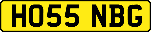 HO55NBG